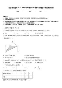 山东省济南市2023-2024学年数学八年级第一学期期末考试模拟试题含答案