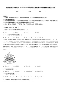 山东省济宁市梁山县2023-2024学年数学八年级第一学期期末检测模拟试题含答案