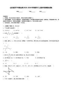 山东省济宁市微山县2023-2024学年数学八上期末检测模拟试题含答案