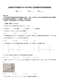 山东省济宁市兖州区2023-2024学年八上数学期末学业质量监测试题含答案