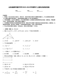 山东省曲阜市昌平中学2023-2024学年数学八上期末达标测试试题含答案