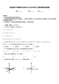 山东省济宁市邹城市九级2023-2024学年八上数学期末检测试题含答案