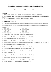 山东省泰安市2023-2024学年数学八年级第一学期期末检测试题含答案