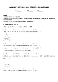 山东省日照于里中学2023-2024学年数学八上期末考试模拟试题含答案