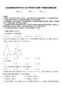 山东省威海市实验中学2023-2024学年数学八年级第一学期期末检测模拟试题含答案