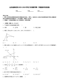 山东省商河县2023-2024学年八年级数学第一学期期末检测试题含答案