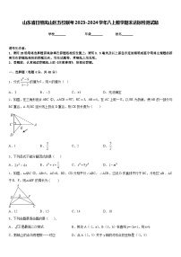 山东省日照岚山区五校联考2023-2024学年八上数学期末达标检测试题含答案