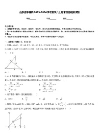 山东省平邑县2023-2024学年数学八上期末检测模拟试题含答案