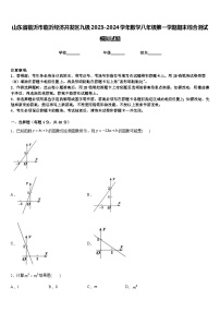 山东省临沂市临沂经济开发区九级2023-2024学年数学八年级第一学期期末综合测试模拟试题含答案