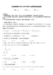 山东省滨州市2023-2024学年八上数学期末监测试题含答案