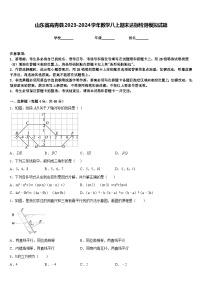 山东省高青县2023-2024学年数学八上期末达标检测模拟试题含答案