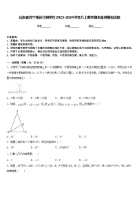 山东省济宁海达行知学校2023-2024学年八上数学期末监测模拟试题含答案