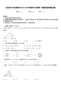 山东省济宁金乡县联考2023-2024学年数学八年级第一学期期末联考模拟试题含答案