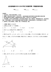 山东省莒南县2023-2024学年八年级数学第一学期期末联考试题含答案