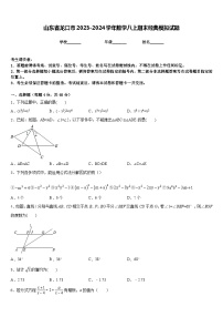 山东省龙口市2023-2024学年数学八上期末经典模拟试题含答案