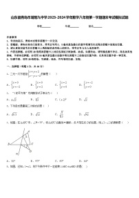 山东省青岛市城阳九中学2023-2024学年数学八年级第一学期期末考试模拟试题含答案