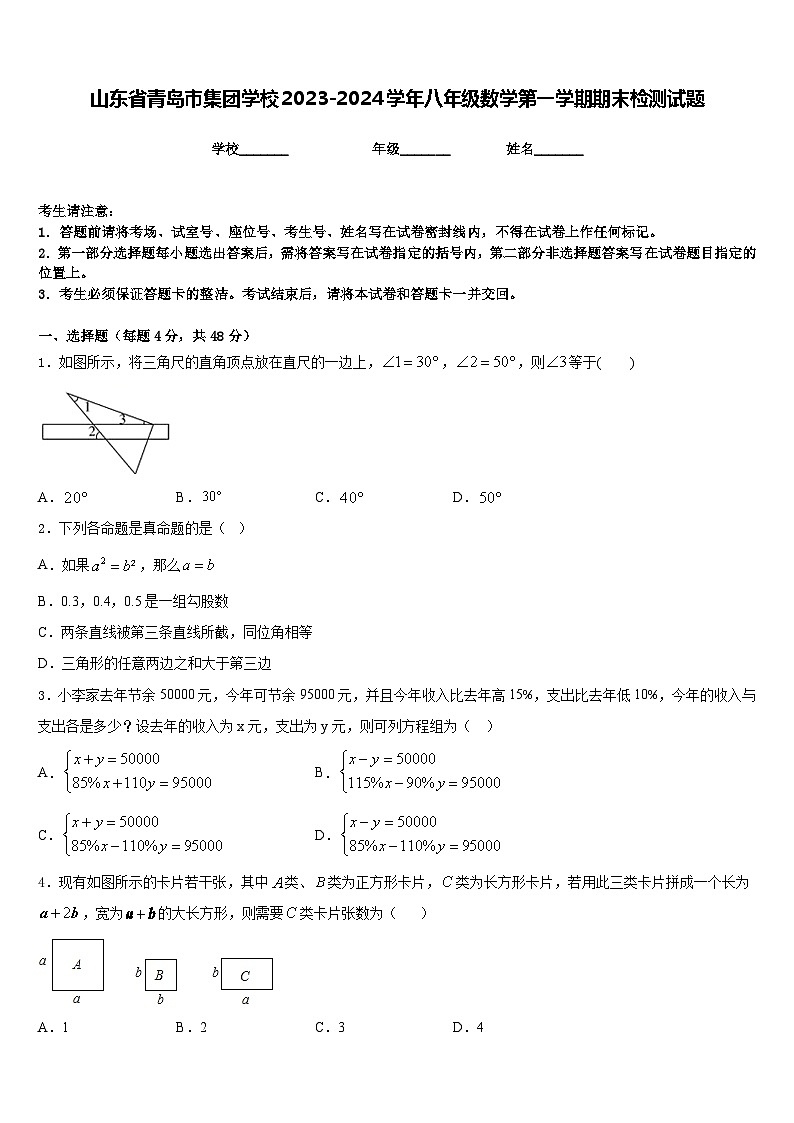 山东省青岛市集团学校2023-2024学年八年级数学第一学期期末检测试题含答案01