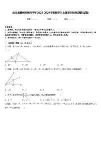 山东省滕州市鲍沟中学2023-2024学年数学八上期末综合测试模拟试题含答案