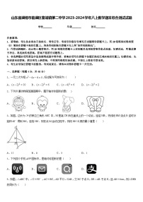 山东省淄博市临淄区皇城镇第二中学2023-2024学年八上数学期末综合测试试题含答案