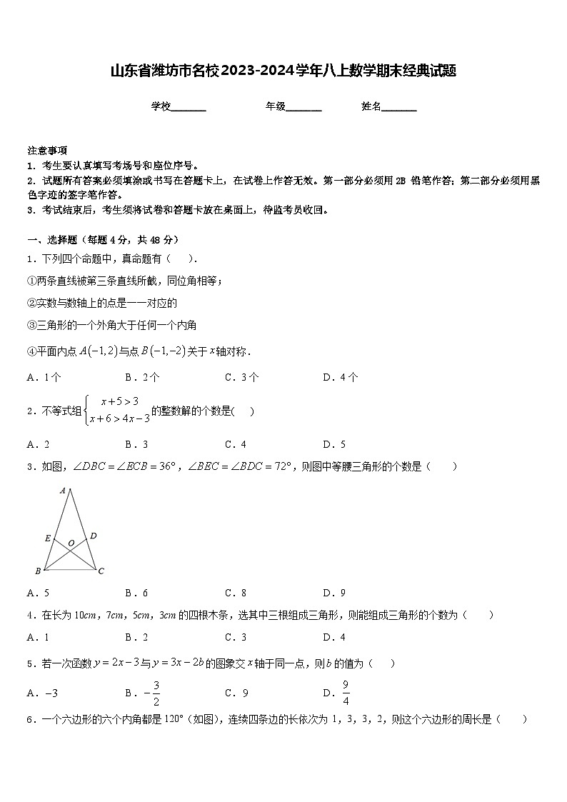 山东省潍坊市名校2023-2024学年八上数学期末经典试题含答案01