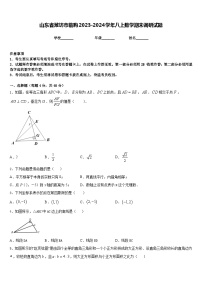 山东省潍坊市临朐2023-2024学年八上数学期末调研试题含答案