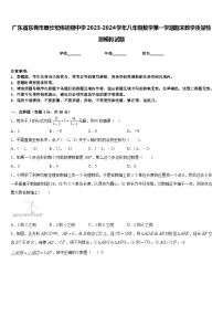 广东省东莞市寮步宏伟初级中学2023-2024学年八年级数学第一学期期末教学质量检测模拟试题含答案