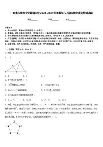 广东省东莞市中学堂镇六校2023-2024学年数学八上期末教学质量检测试题含答案