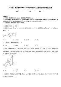 广东省广州大附中2023-2024学年数学八上期末复习检测模拟试题含答案