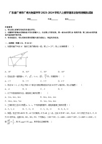 广东省广州市广州大附属中学2023-2024学年八上数学期末达标检测模拟试题含答案