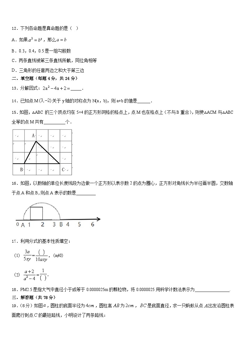 广东省广州市广州大附属中学2023-2024学年八上数学期末达标检测模拟试题含答案03