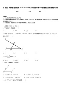 广东省广州市荔湾区统考2023-2024学年八年级数学第一学期期末质量检测模拟试题含答案