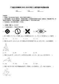 广东省五华县联考2023-2024学年八上数学期末考试模拟试题含答案