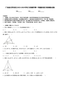 广东省云浮市名校2023-2024学年八年级数学第一学期期末复习检测模拟试题含答案