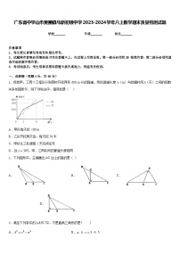 广东省中学山市黄圃镇马新初级中学2023-2024学年八上数学期末质量检测试题含答案