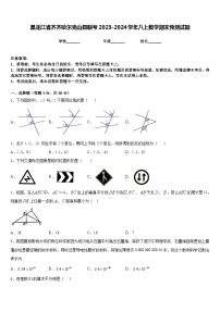 黑龙江省齐齐哈尔克山县联考2023-2024学年八上数学期末预测试题含答案