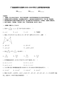 广东省高州市九校联考2023-2024学年八上数学期末联考试题含答案