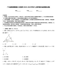 广东省惠州惠阳区六校联考2023-2024学年八上数学期末监测模拟试题含答案