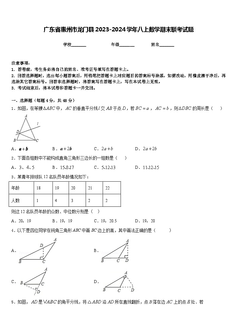 广东省惠州市龙门县2023-2024学年八上数学期末联考试题含答案01