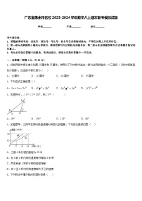 广东省惠州市名校2023-2024学年数学八上期末联考模拟试题含答案