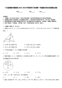 广东省揭阳市揭西县2023-2024学年数学八年级第一学期期末综合测试模拟试题含答案