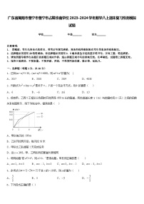 广东省揭阳市普宁市普宁市占陇华南学校2023-2024学年数学八上期末复习检测模拟试题含答案