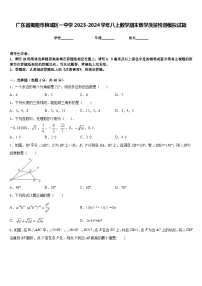 广东省揭阳市榕城区一中学2023-2024学年八上数学期末教学质量检测模拟试题含答案