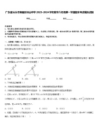 广东省汕头市潮南区峡山中学2023-2024学年数学八年级第一学期期末考试模拟试题含答案