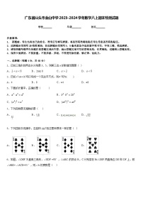 广东省汕头市金山中学2023-2024学年数学八上期末检测试题含答案