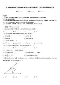 广东省韶关市曲江初级中学2023-2024学年数学八上期末教学质量检测试题含答案