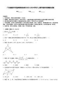 广东省韶关市乳源瑶族自治县2023-2024学年八上数学期末检测模拟试题含答案