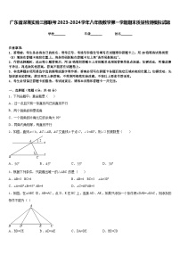 广东省深圳实验三部联考2023-2024学年八年级数学第一学期期末质量检测模拟试题含答案