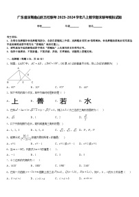 广东省深圳南山区五校联考2023-2024学年八上数学期末联考模拟试题含答案