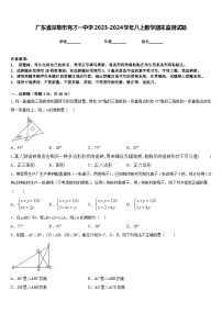 广东省深圳市育才一中学2023-2024学年八上数学期末监测试题含答案