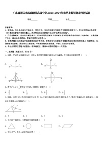 广东省湛江市霞山职业高级中学2023-2024学年八上数学期末预测试题含答案